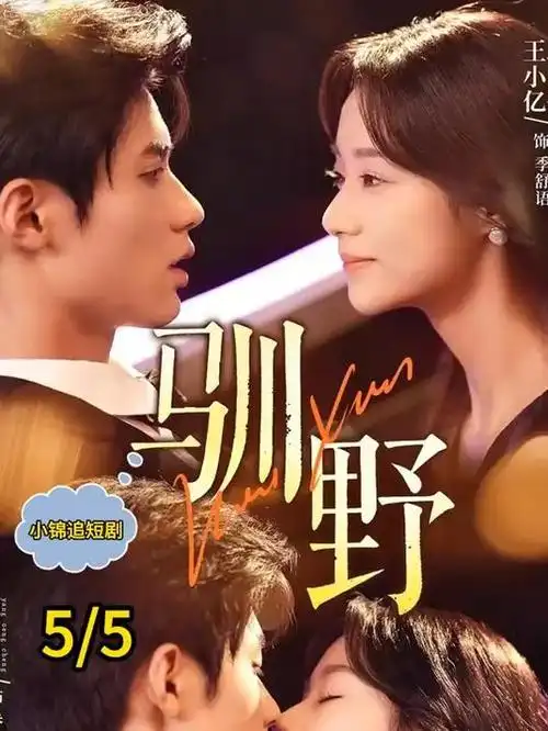 清算者形态姨母角色图鉴插图